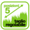 taglio-reg